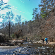 Beautiful day walking around Gulpha Gorge and downtown Hot Springs. (1)